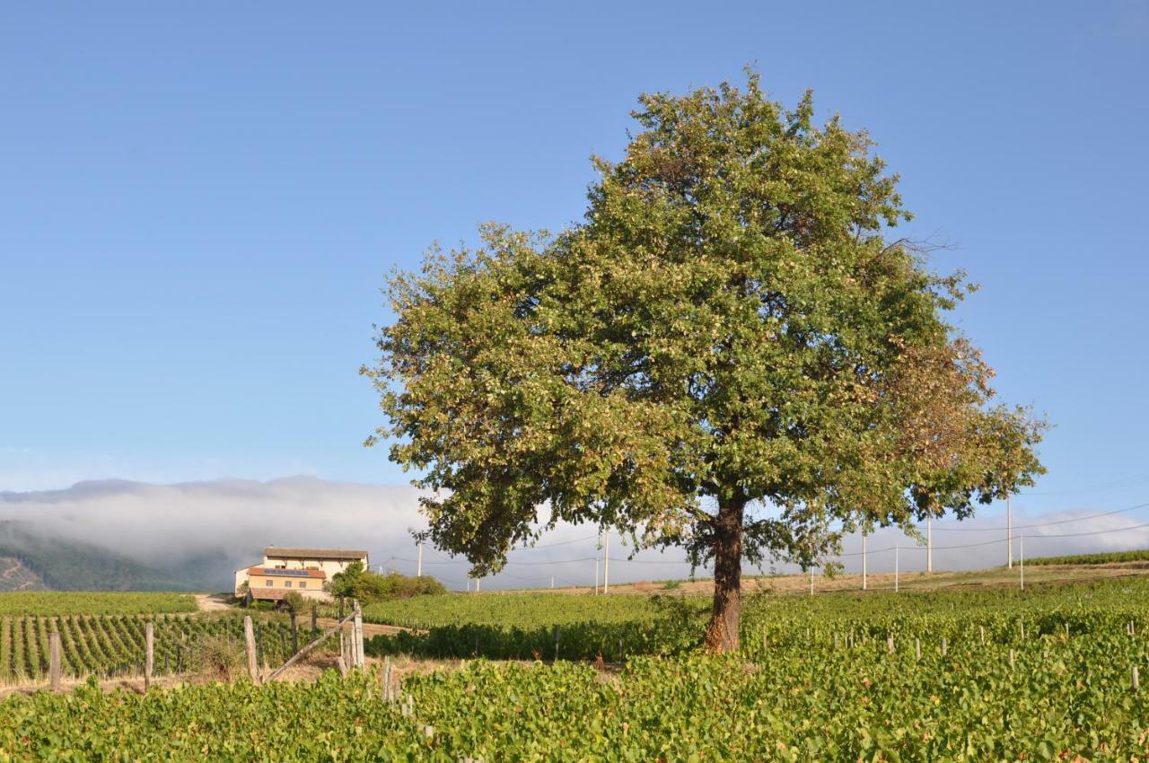 Gite Le Pot De Vin Lancié Exterior foto